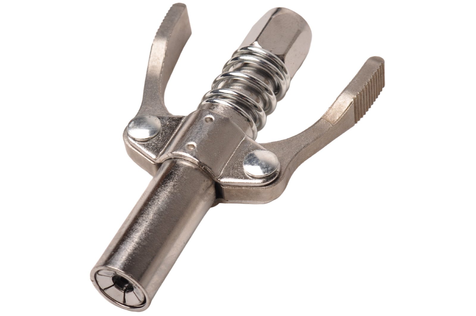 Professional grease gun with accessories